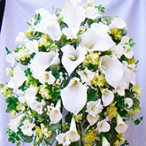 花束・ブーケ写真