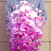 花束・ブーケ写真